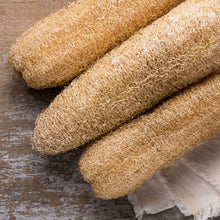 Several luffa gourds dried and showing their sponge-like exterior.