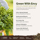 A visual overview of the wildflower seed mix, showcasing expected floral blooms.