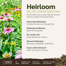 A visual overview of the wildflower seed mix, showcasing expected floral blooms.