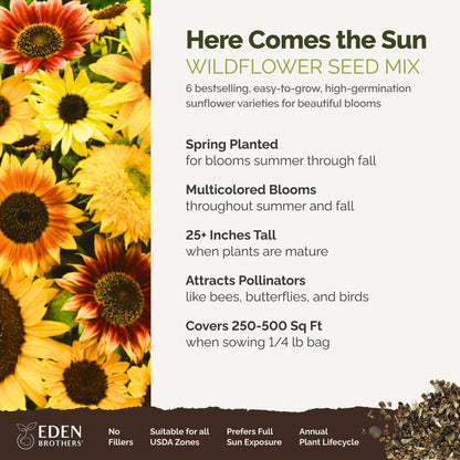 A visual overview of the wildflower seed mix, showcasing expected floral blooms.