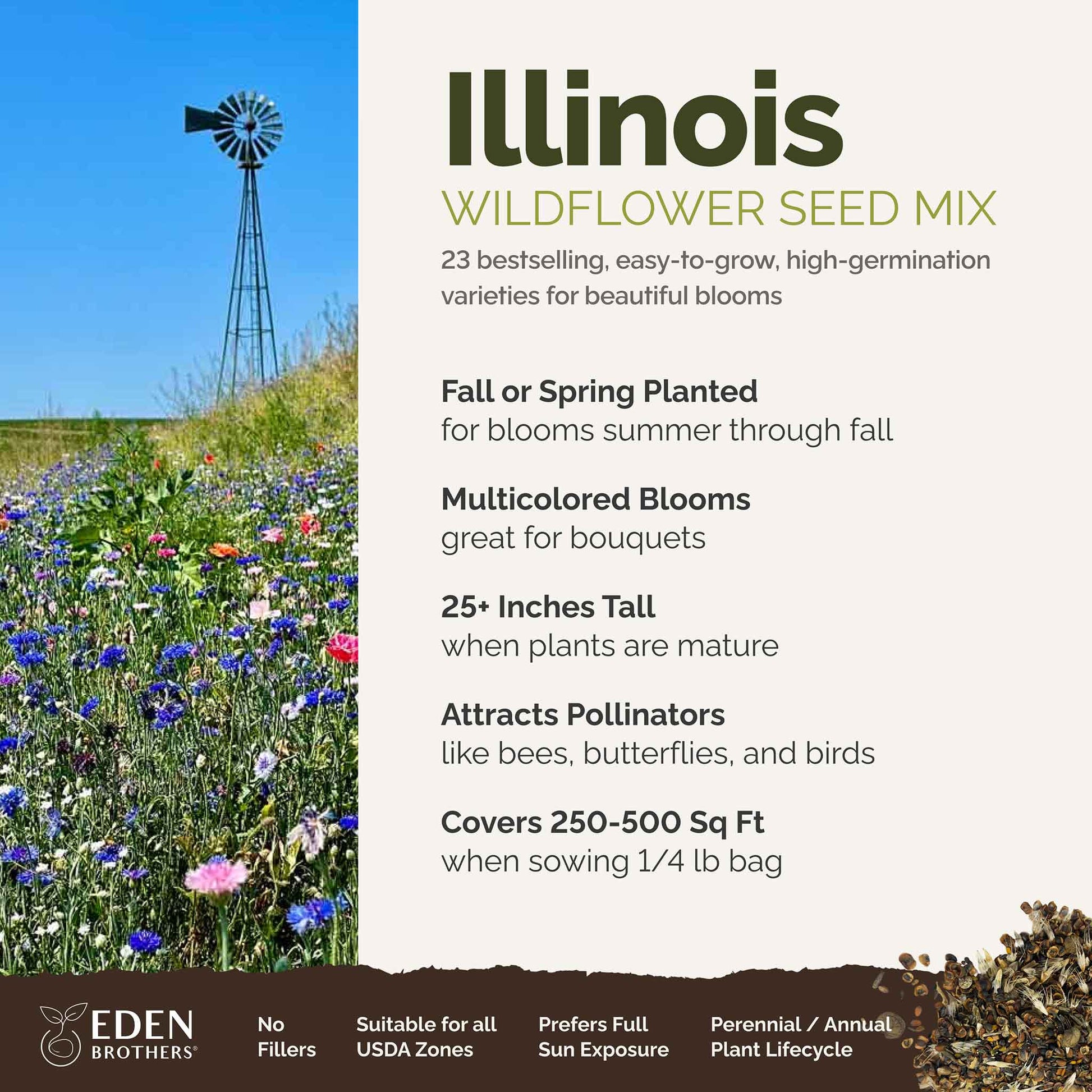 A visual overview of the wildflower seed mix, showcasing expected floral blooms.