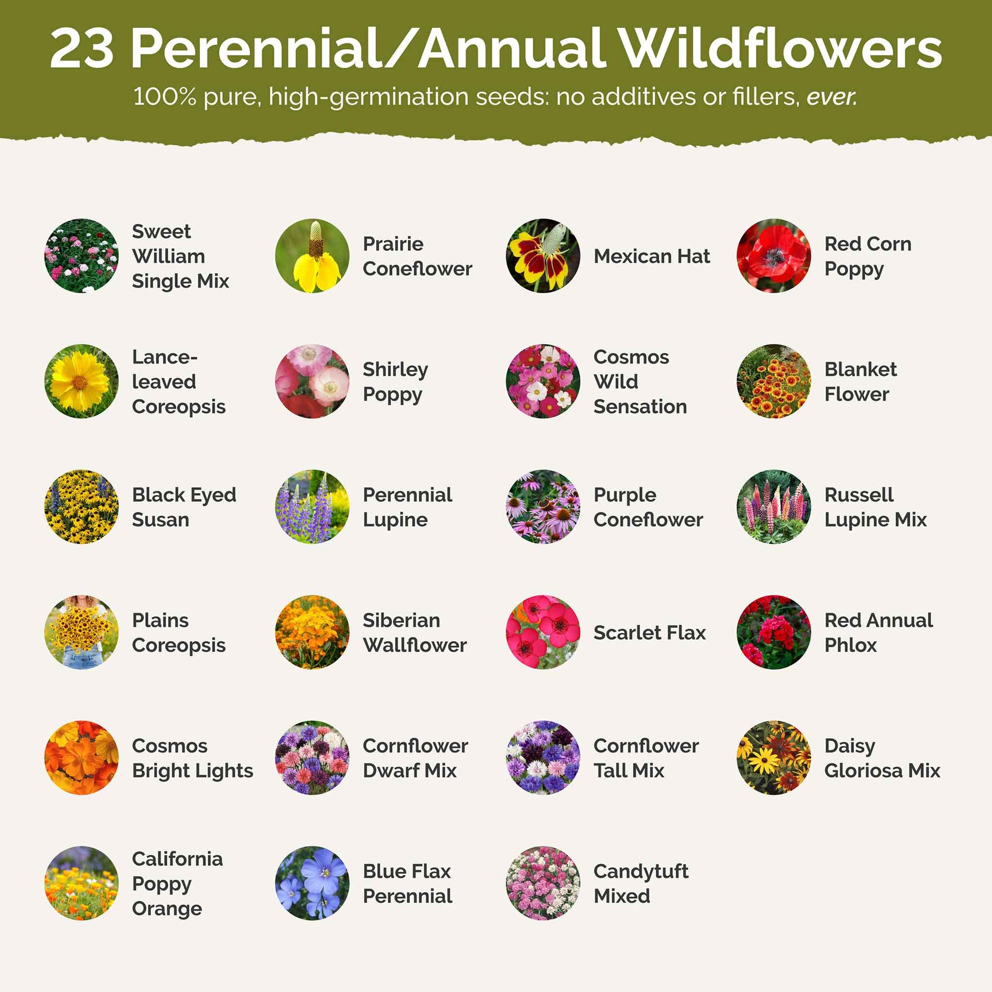 List of flower species and seeds included in the Wildflower Seed Mix.