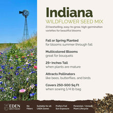 A visual overview of the wildflower seed mix, showcasing expected floral blooms.