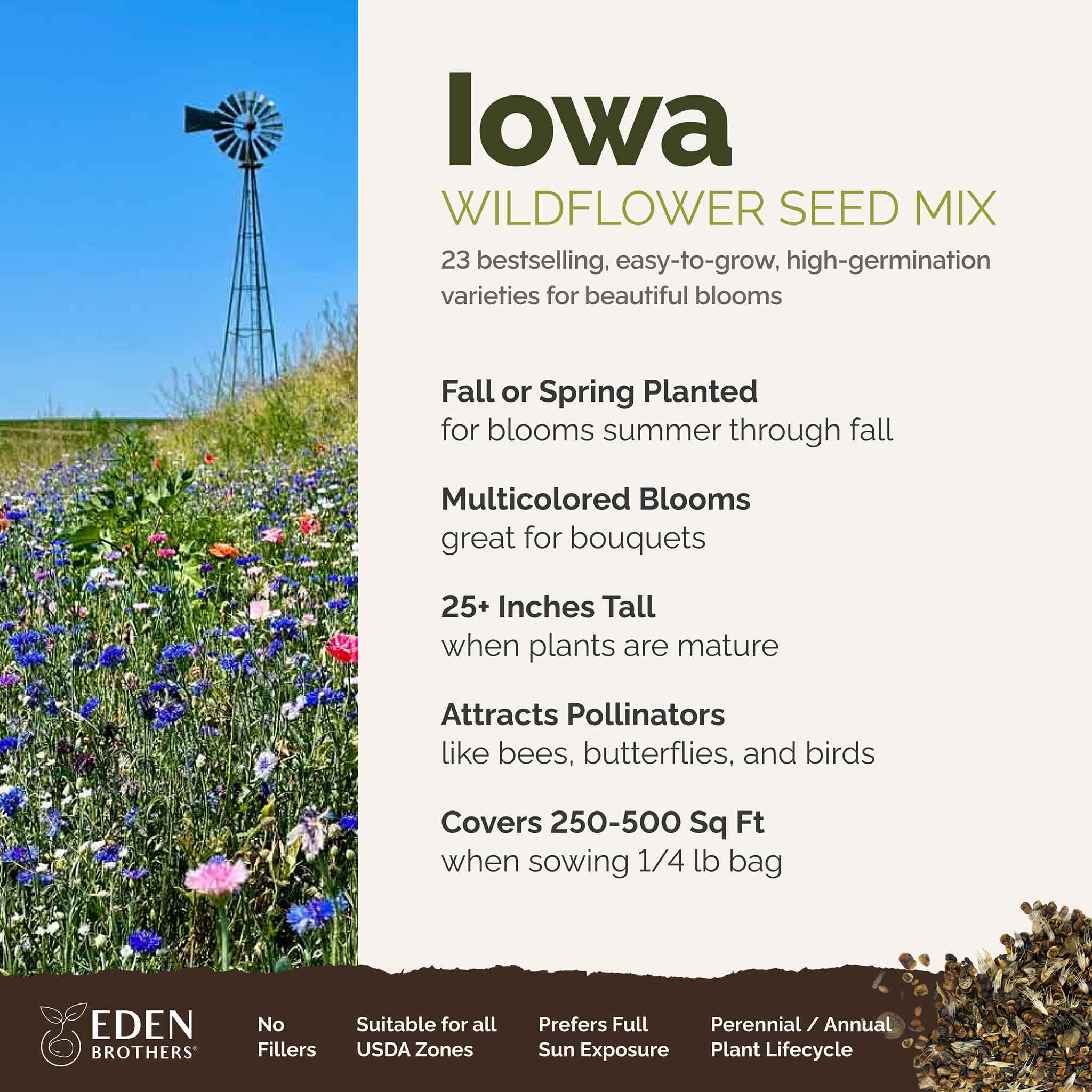 A visual overview of the wildflower seed mix, showcasing expected floral blooms.