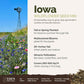 A visual overview of the wildflower seed mix, showcasing expected floral blooms.