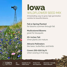 A visual overview of the wildflower seed mix, showcasing expected floral blooms.