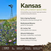 A visual overview of the wildflower seed mix, showcasing expected floral blooms.