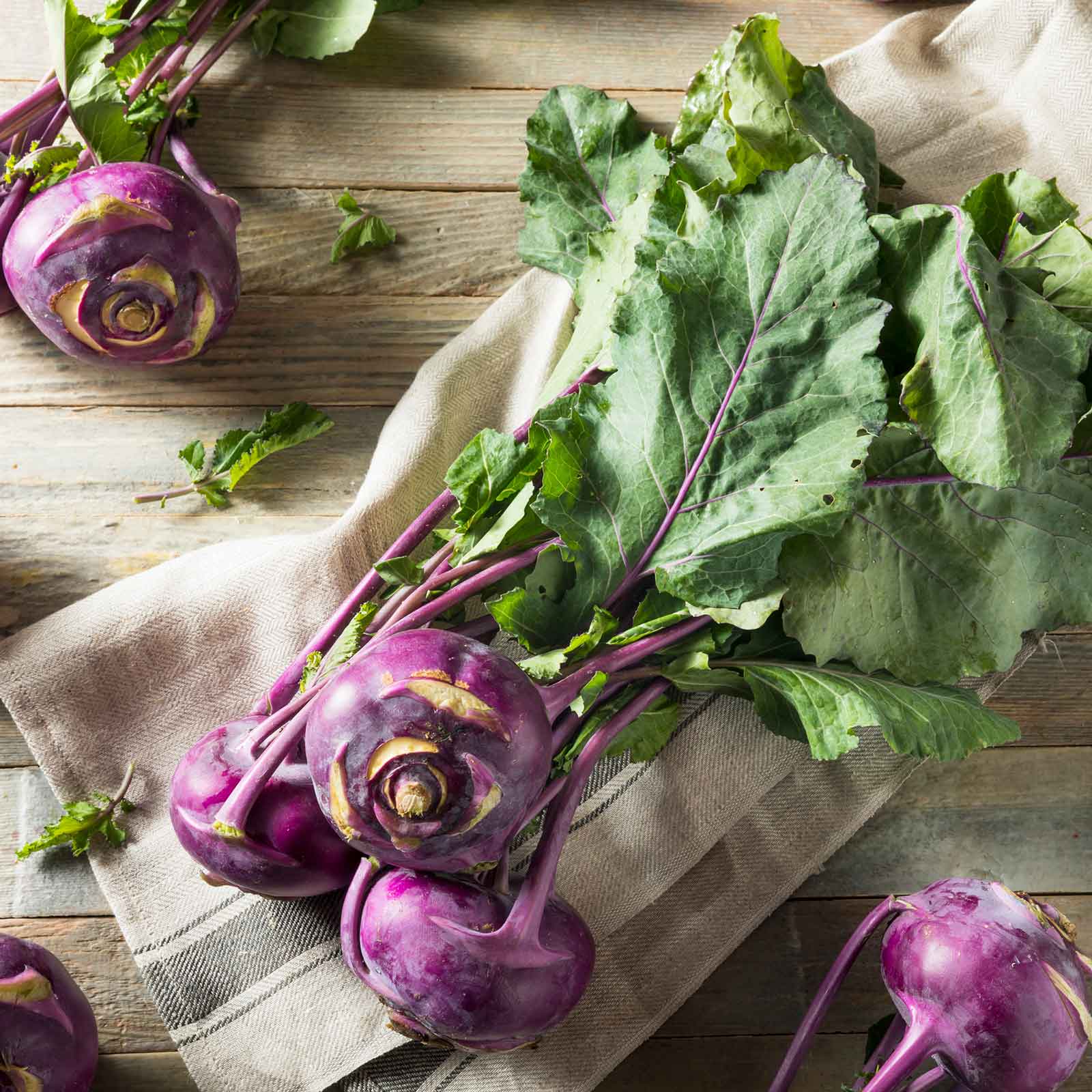 A purple vienna kohlrabi plant with green leaves growing in a garden, shown from a slightly elevated angle.