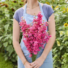A person holding a bouquet of larkspur king size scarlet flowers in a garden setting.