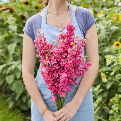 A person holding a bouquet of larkspur king size scarlet flowers in a garden setting.