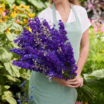 A person holding a bouquet of larkspur qis dark blue flowers in a garden setting.