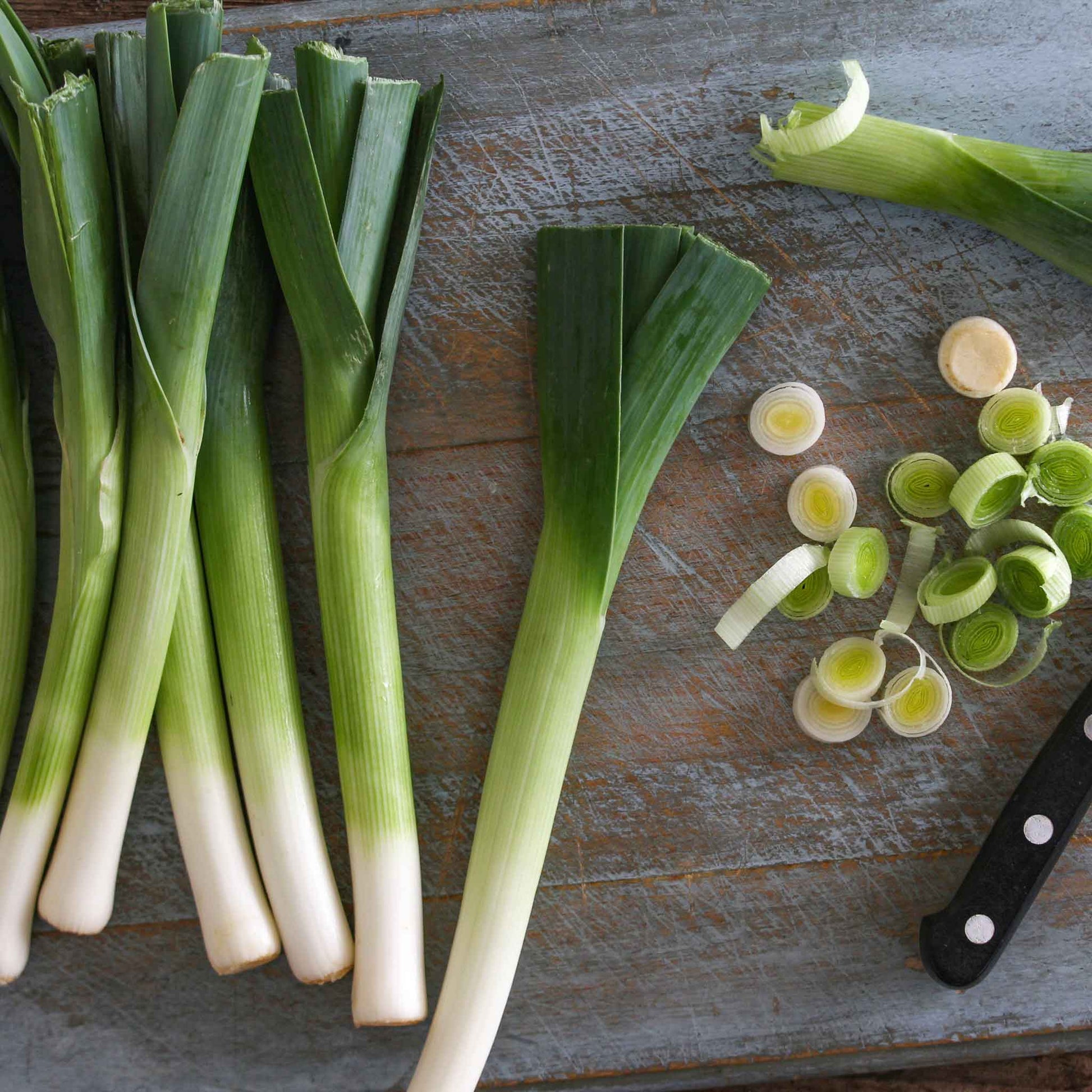 A close-up of a single 'Early Giant' leek with a white stalk and green leaves on a dark background.