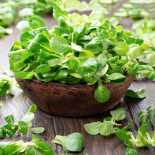 A wooden bowl of Mache corn salad lettuce leaves on a wooden surface.
