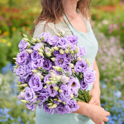 A person holding a bouquet of lisianthus corelli lavender flowers in a garden setting.