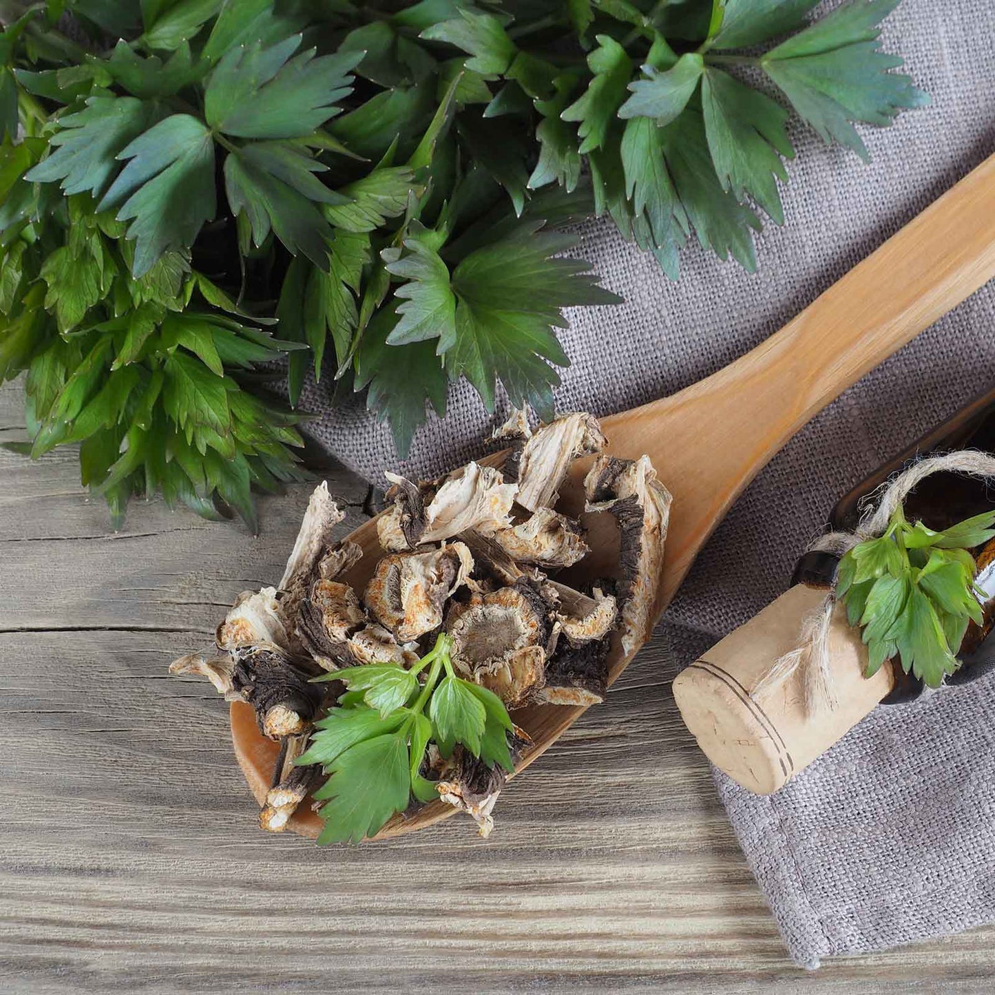 Wooden spoon with dried lovage and fresh parsley on a wooden surface
