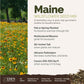 A visual overview of the wildflower seed mix, showcasing expected floral blooms.