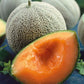Close-up of a vibrant orange Honey Rock melon with a netted rind, perfectly ripe and ready for a sweet treat.