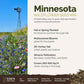 A visual overview of the wildflower seed mix, showcasing expected floral blooms.