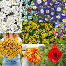 A grid graphic showing the bloomed contents of Flowery Fields Forever Flower Seed Mix
