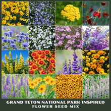 Collage of various flowers from the Grand Teton National Park Inspired Flower Seed Mix.