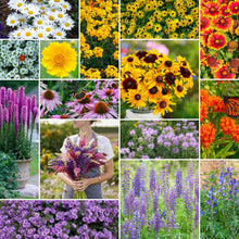 A grid graphic showing the bloomed contents of Northeast All Perennial Wildflower Seed Mix