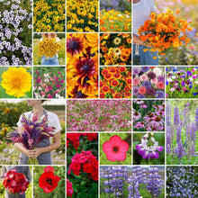 A grid graphic showing the bloomed contents of Southwest Wildflower Seed Mix