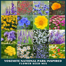 Collage of various flowers from the Yosemite National Park Inspired Flower Seed Mix.