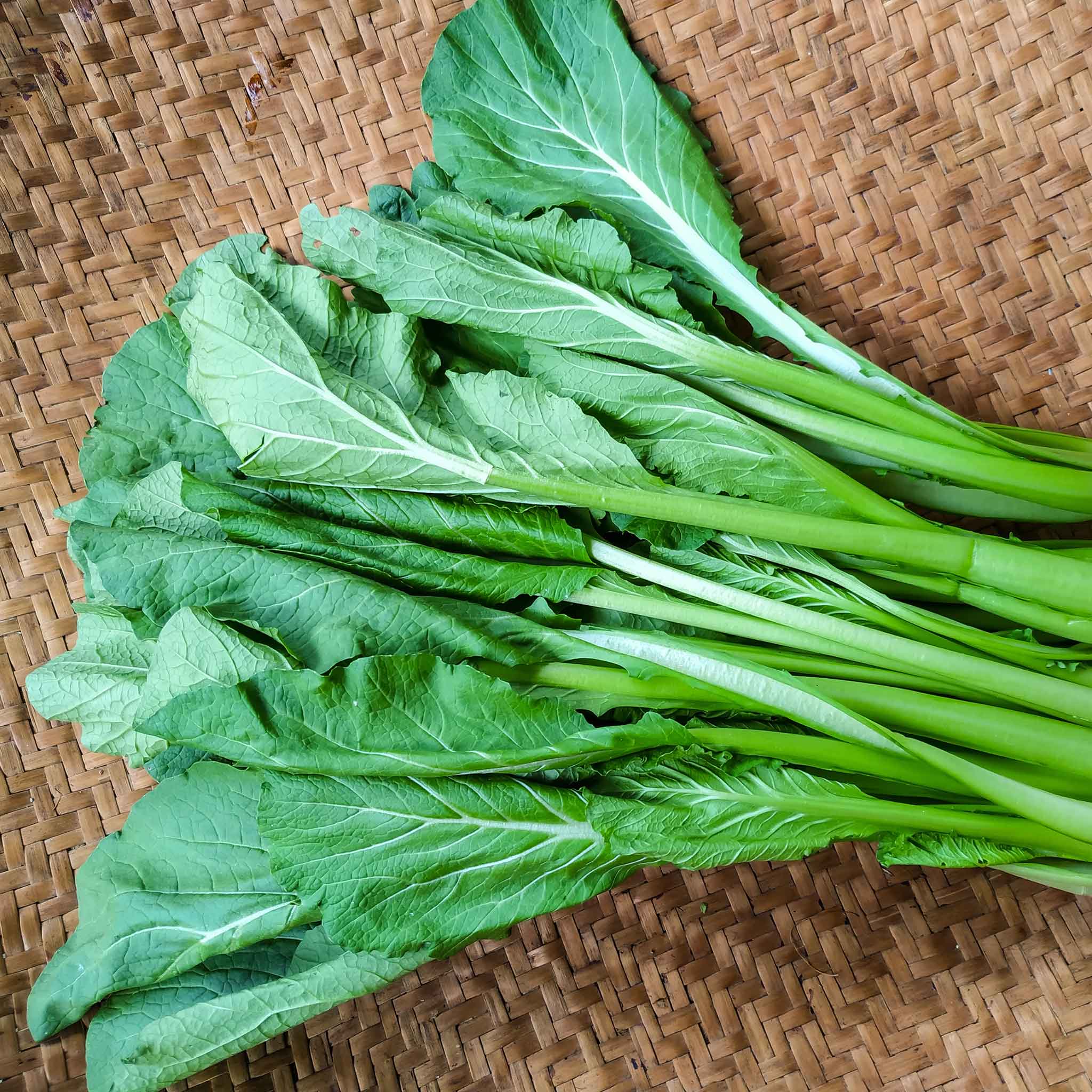 A close-up shot of a pile of Tendergreen mustard leaves harvested on a dark background.