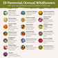List of flower species and seeds included in the Wildflower Seed Mix.