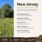 A visual overview of the wildflower seed mix, showcasing expected floral blooms.