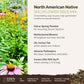 A visual overview of the wildflower seed mix, showcasing expected floral blooms.