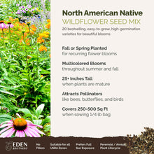 A visual overview of the wildflower seed mix, showcasing expected floral blooms.