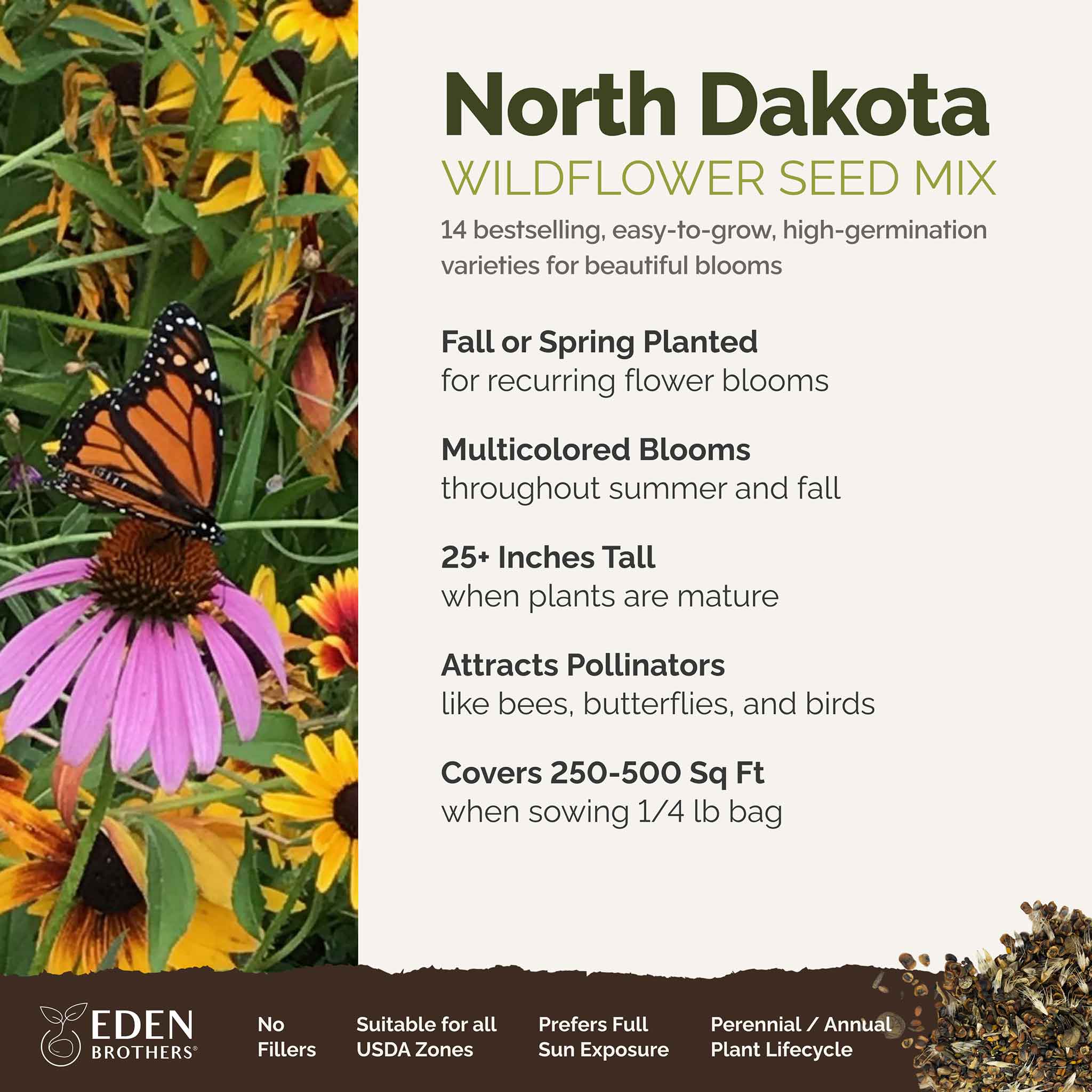 A visual overview of the wildflower seed mix, showcasing expected floral blooms.