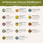 List of flower species and seeds included in the Wildflower Seed Mix.