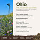 A visual overview of the wildflower seed mix, showcasing expected floral blooms.