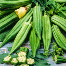 A close-up of vibrant green Clemson Spineless okra pods clustered with sliced okra in front. | copyright: Floramedia UK Ltd