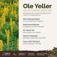 A visual overview of the wildflower seed mix, showcasing expected floral blooms.