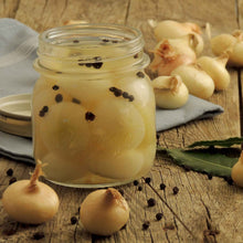 A jar of Cipollini Yellow onions being pickled.