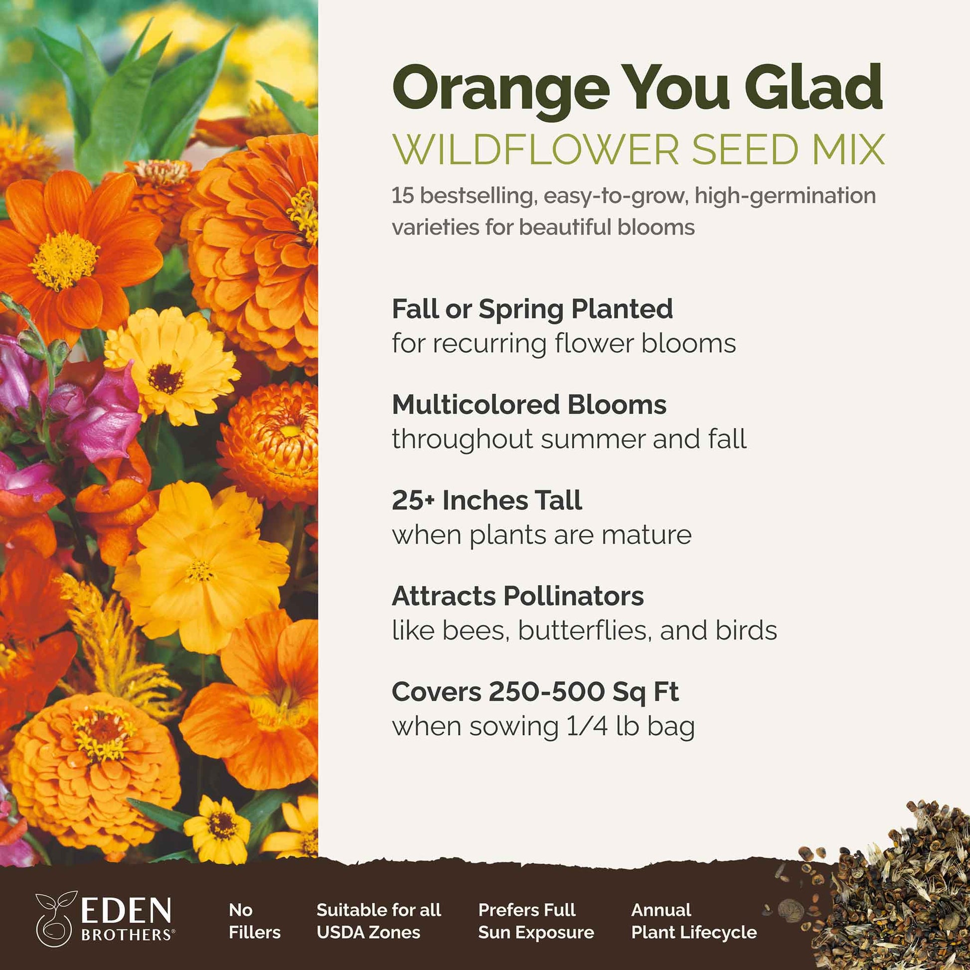 A visual overview of the wildflower seed mix, showcasing expected floral blooms.