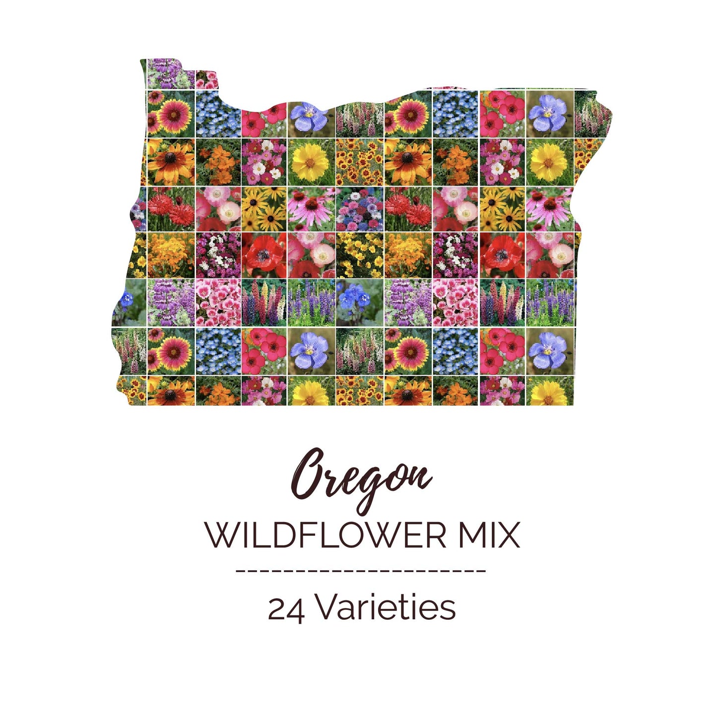 Graphic of the outline of the state for Oregon Wildflower Seed Mix that contains images of the flowers in the mix
