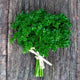 Parsley Seeds (Organic) - Curled