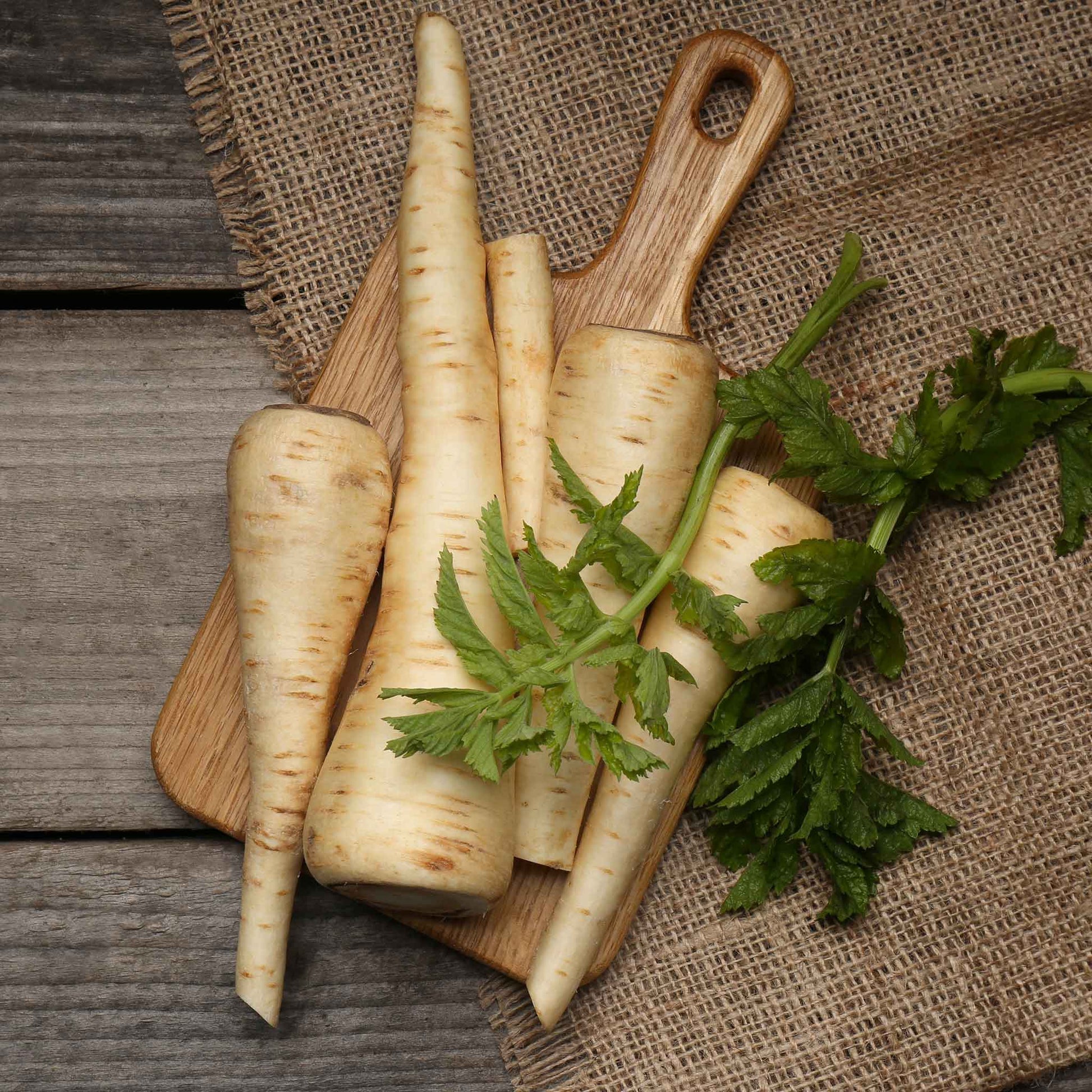 A close-up of Hollow Crown parsnip roots with white skin, showing its shape and texture.