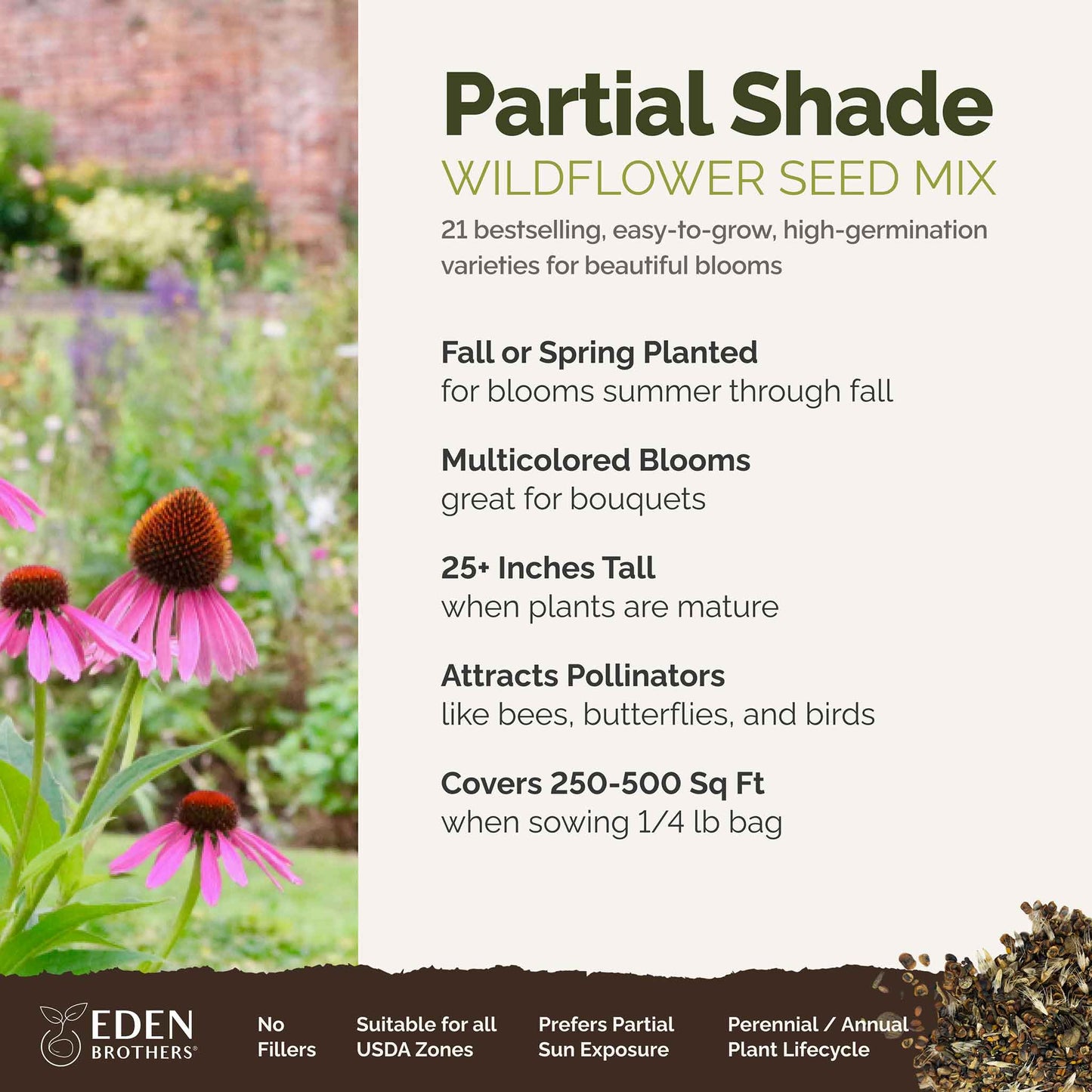 A visual overview of the wildflower seed mix, showcasing expected floral blooms.
