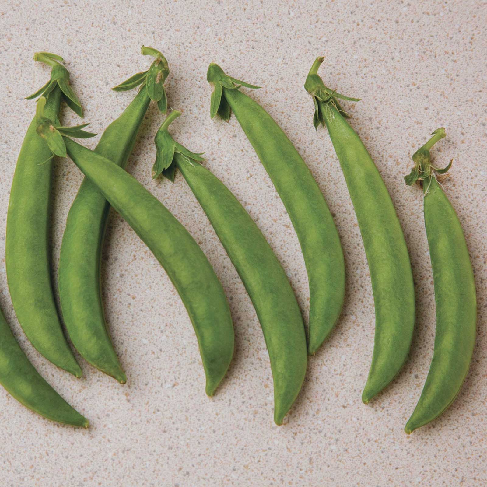 Harvested green Snak Hero pea pods with smooth green skin and the stem still attached