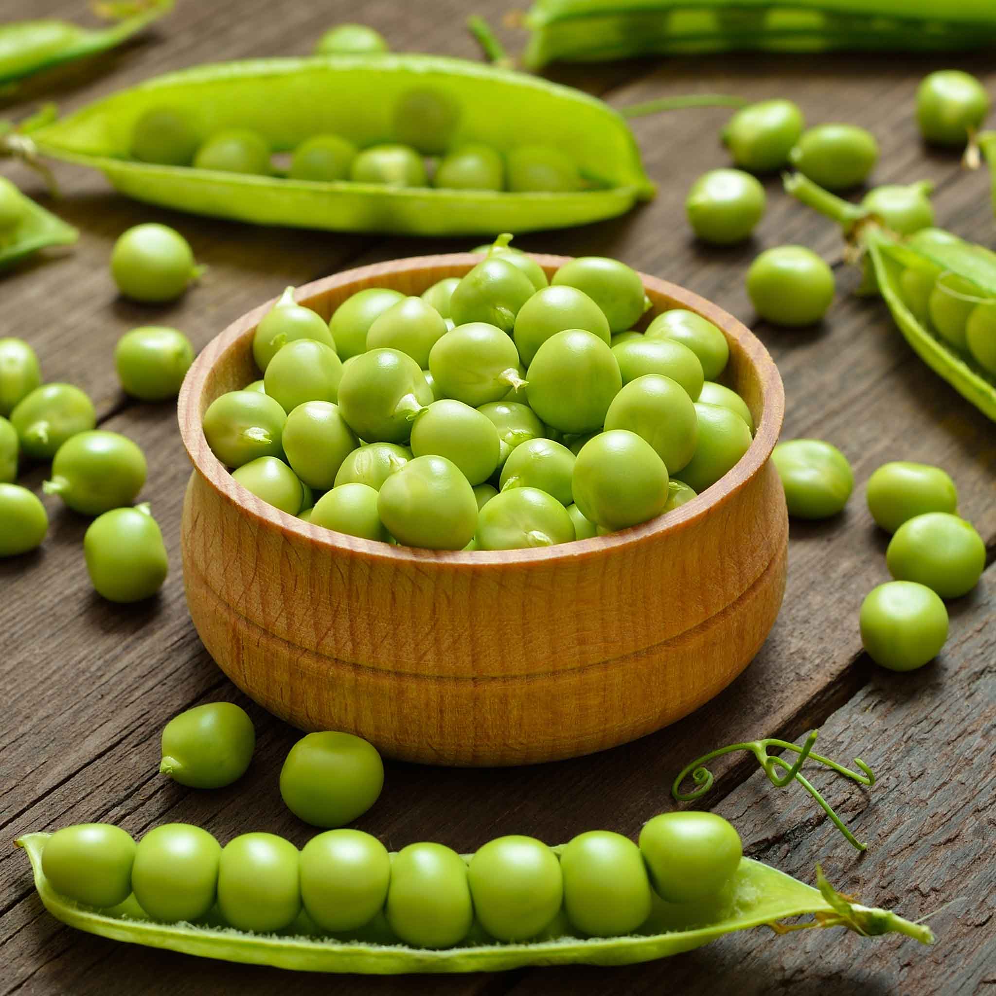 A bowl of shucked Thomas Laxton peas on a wooden surface.