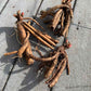 Bare Peony roots slightly covered in dirt showing long roots and multiple eyes