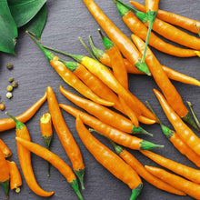 Bright orange cayenne peppers with green stems on a dark background.