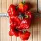 Vibrant red peppers are shown, highlighting its unique Jamaica Hot Red variety.