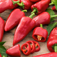 Red Piquillo peppers elongated bodies and one sliced up showing seeds. | copyright: Floramedia UK Ltd