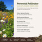 A visual overview of the wildflower seed mix, showcasing expected floral blooms.